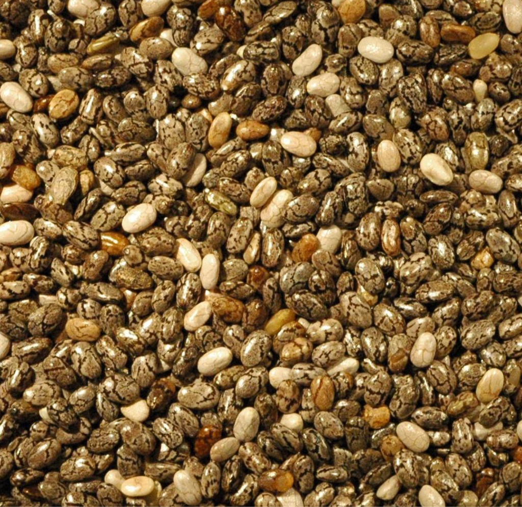 OPTIMYS - Vrac graines de chia bio 5kg