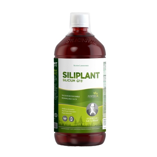 [S6000] Silicium - G7 Siliplant 1000ml